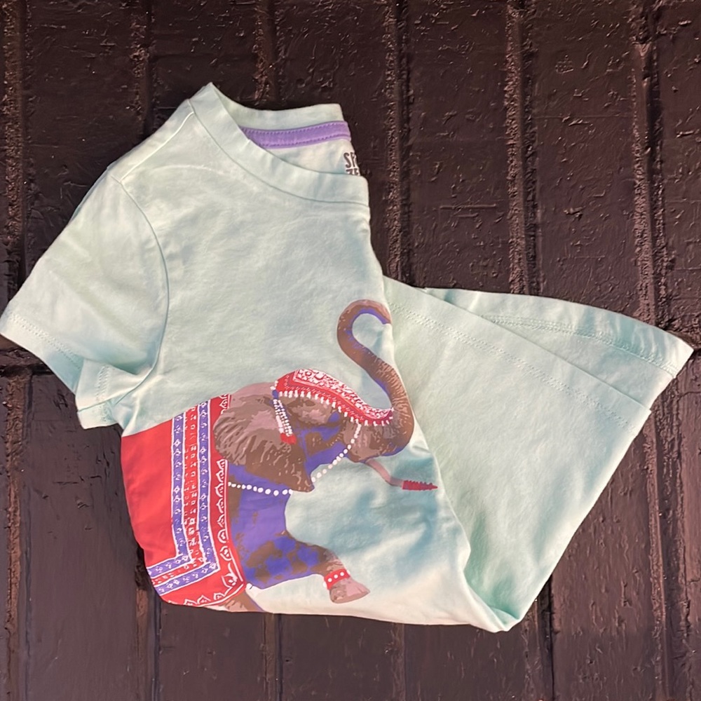 Spotted Zebra, Elephant Girls Shirt